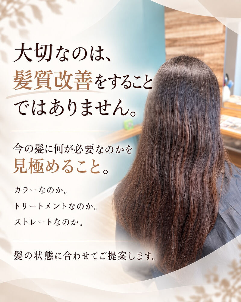 画像1556